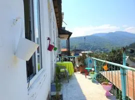 SUNNY SWEET HOME