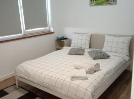 Zen aeroport，位于Sînnicoară的酒店