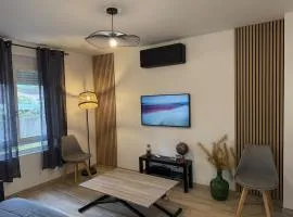 Le Moderne un jolie Duplex tout confort en centre ville