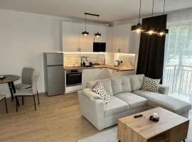 Apartament 37