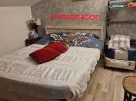CHAMBRE MANSARDEE VELUX 1 à 4p A62 sortie 6 ou 6 1