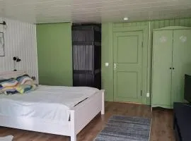 Pihlaka majutus