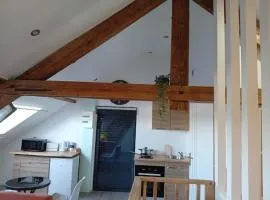 Cozy Loft Mansardé