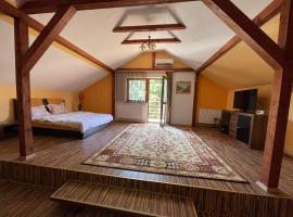 Cabană cu gradină in Iași-Bârnova，位于Bîrnova的酒店