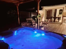 Appartement Spa et Terrasse，位于第戎的酒店