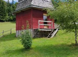 La Cabane Du Bois De Carabotin