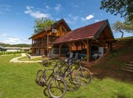 Amazing Home In Veselici With Sauna