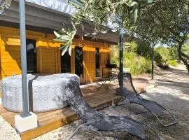 Evasion sous les pins