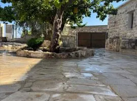 cozy house with indoor fireplace