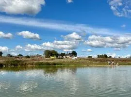 Grand Gîte en campagne avec étang