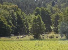 In the middle of nature