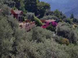 Kabak Armes Otel
