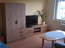 Apartmán V Sídlišti Rousínov，位于维什科夫的酒店