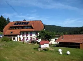 Wohnung In Wittenschwand Mit Garten Und Panorama