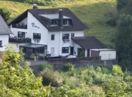 Familiehuis Dolve，位于M&uuml;rlenbach的滑雪度假村