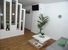 Casas jerezanas Loft Olivier