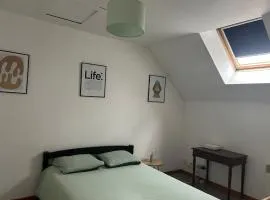 Duplex cosy aux portes de la ville de Tours