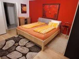 40 Minuten zur Wiesn mit SBahn