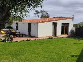 A PINTEGA DAS DUNAS