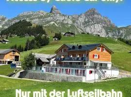 Alphotel Biel-Kinzig - Access by Cable Car only!
