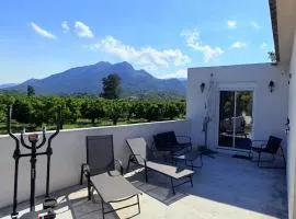 Studio vue sur les clémentiniers