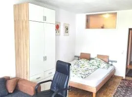 Salzburg River Appartment