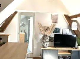 Tres Agréable logement a Vierzon, parking gratuit sur place