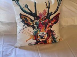 The Stags Den - North Coast Luxury Pods，位于Skaill的酒店