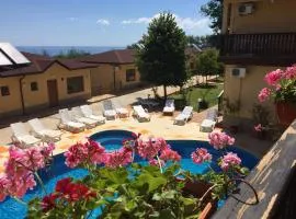 Complex Terazini