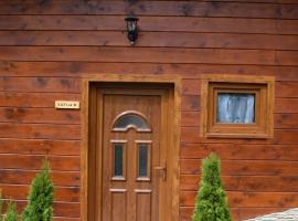 Sankt Egyden Holzh&auml;uschen，位于圣伊基顿的乡村别墅