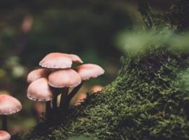 test hotel，位于Oulad Akkou的酒店