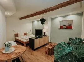 Wohnen in der Altstadt - Wohnungen und Studio