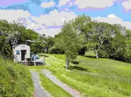 The Mallard Shepherd's Hut with Hot Tub