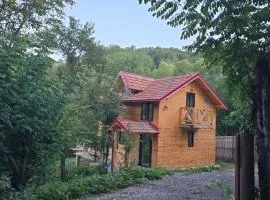 CABANA panoramică din Maluri