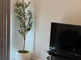 Modern 1-Bedroom Apartment in Downtown Baltimore