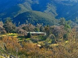 Secluded Oasis with View, and hot tub on 50 acres，位于Bodfish的酒店