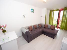 hotel nino，位于Văleni的酒店