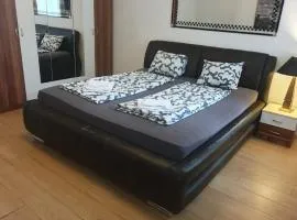 Comfy & Cozy Studio near Enkplatz U3