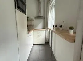 Green botanical studio 3