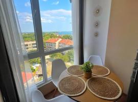 Deymar Apartments VIEW，位于维丁的酒店