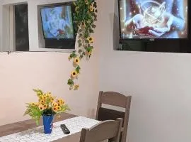 Kitnet tranquila e aconchegante