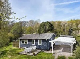 AE237-Aeroskobing-Hanses-Ager-19