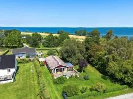 AE235-Aeroskobing-Hanses-Ager-8