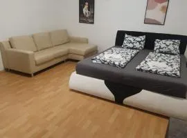 Chic 1BR Apt Very Central in Vienna