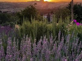 Amor di Lavanda，位于钦戈利的酒店