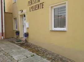 Pension Ambiente
