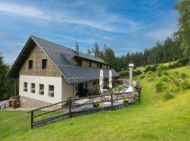 Penzion Na Začátku，位于贝内茨科的酒店