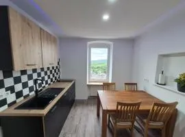 Ferienwohnung in Ürzig mit Moselblick