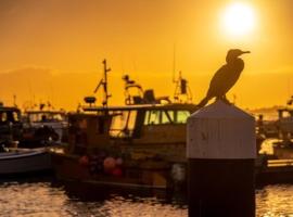 Poole Quay Apartment - Perfect Location - Beatiful Roof Terrace - Free Parking，位于浦耳的酒店