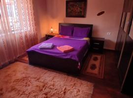 Home in village，位于戈里察的酒店
